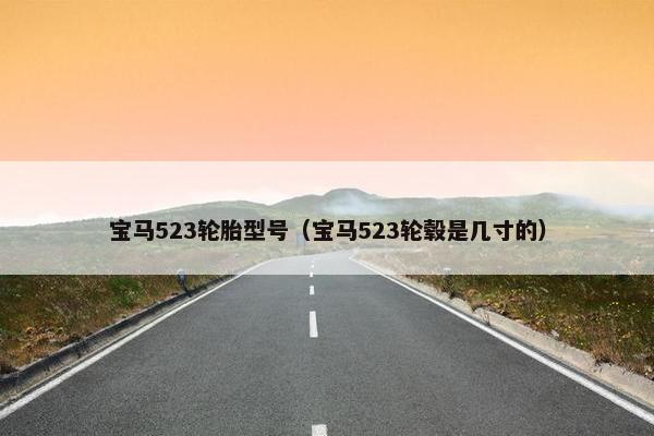 宝马523轮胎型号（宝马523轮毂是几寸的）