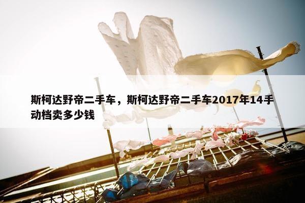 斯柯达野帝二手车，斯柯达野帝二手车2017年14手动档卖多少钱