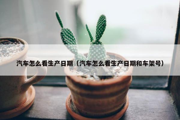 汽车怎么看生产日期（汽车怎么看生产日期和车架号）