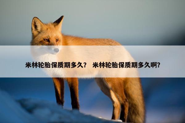 米林轮胎保质期多久？ 米林轮胎保质期多久啊？