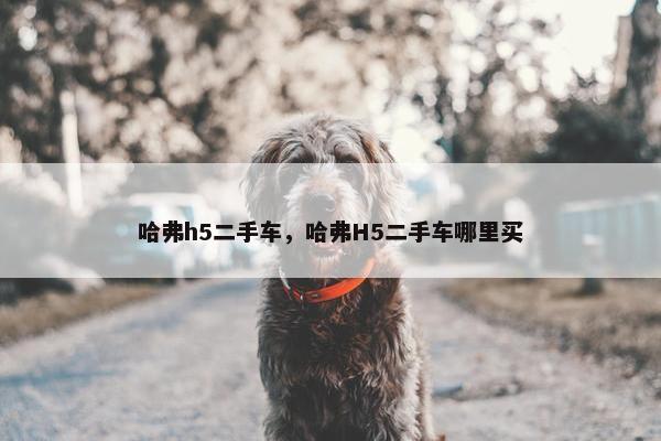 哈弗h5二手车，哈弗H5二手车哪里买