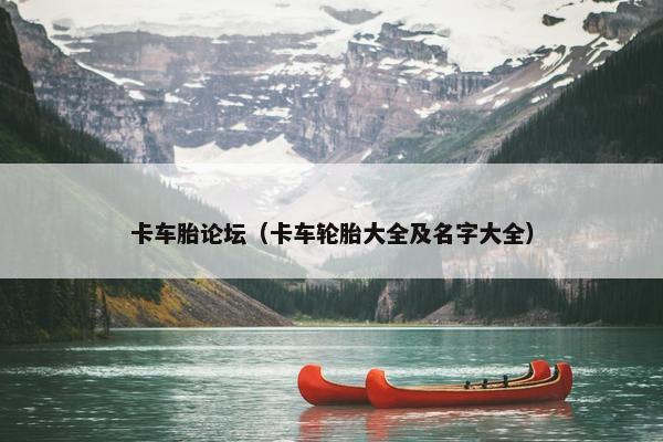 卡车胎论坛（卡车轮胎大全及名字大全）