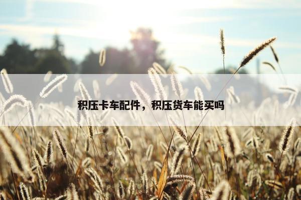 积压卡车配件，积压货车能买吗