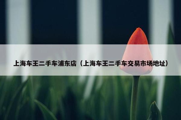 上海车王二手车浦东店（上海车王二手车交易市场地址）