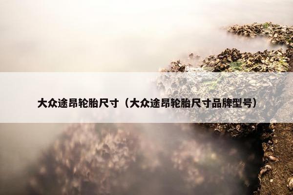 大众途昂轮胎尺寸（大众途昂轮胎尺寸品牌型号）