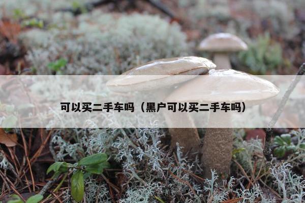 可以买二手车吗（黑户可以买二手车吗）