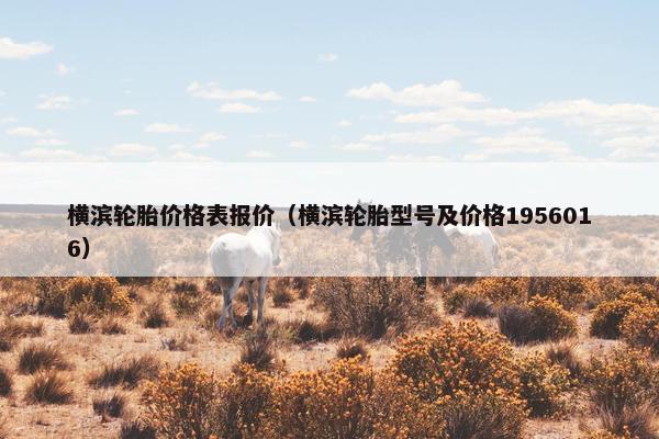 横滨轮胎价格表报价（横滨轮胎型号及价格1956016）