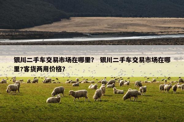 银川二手车交易市场在哪里？ 银川二手车交易市场在哪里?客货两用价格？