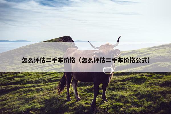 怎么评估二手车价格（怎么评估二手车价格公式）