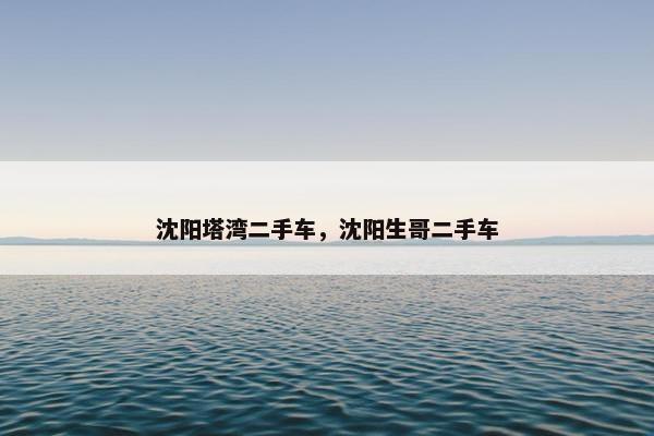 沈阳塔湾二手车，沈阳生哥二手车