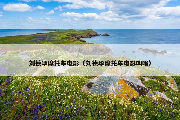 刘德华摩托车电影（刘德华摩托车电影叫啥）