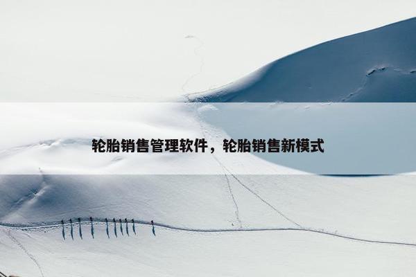 轮胎销售管理软件，轮胎销售新模式