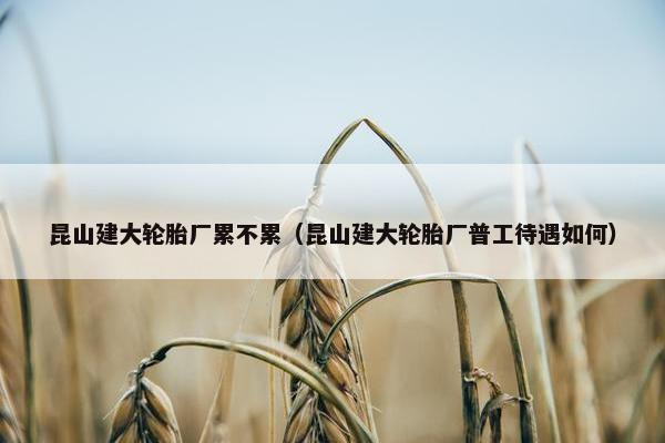 昆山建大轮胎厂累不累（昆山建大轮胎厂普工待遇如何）