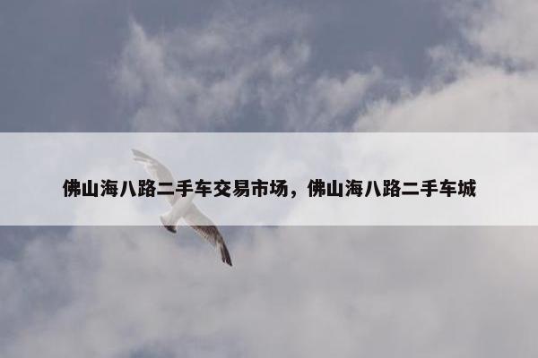 佛山海八路二手车交易市场，佛山海八路二手车城