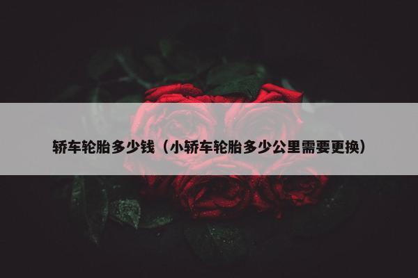 轿车轮胎多少钱（小轿车轮胎多少公里需要更换）