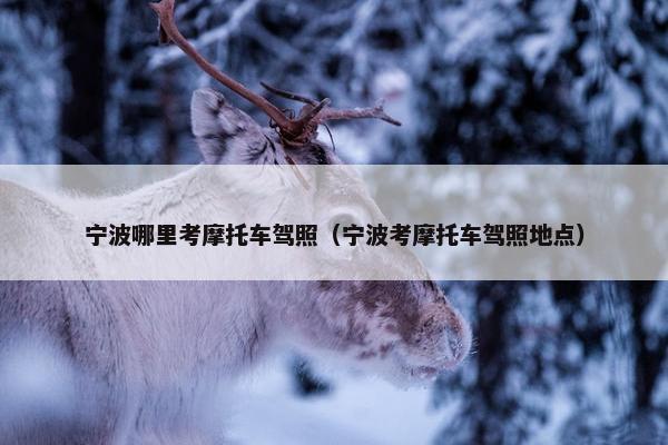 宁波哪里考摩托车驾照（宁波考摩托车驾照地点）