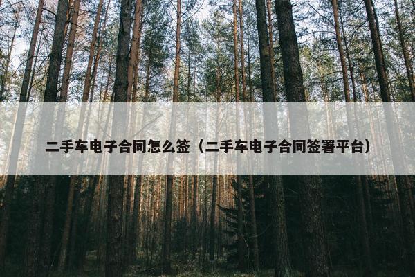 二手车电子合同怎么签（二手车电子合同签署平台）