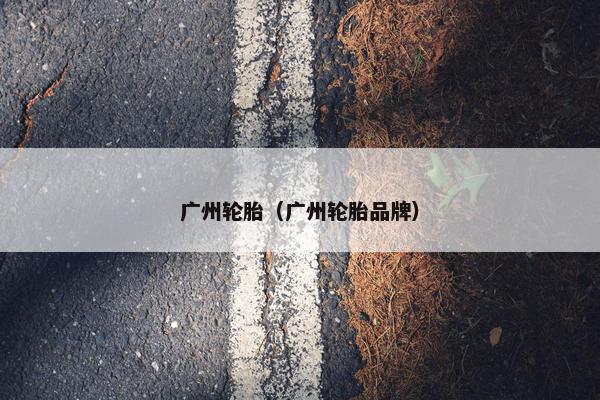 广州轮胎（广州轮胎品牌）