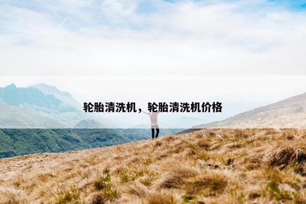 轮胎清洗机，轮胎清洗机价格