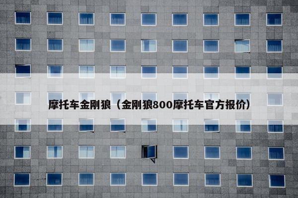 摩托车金刚狼（金刚狼800摩托车官方报价）