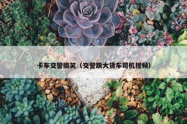 卡车交警搞笑（交警跟大货车司机视频）