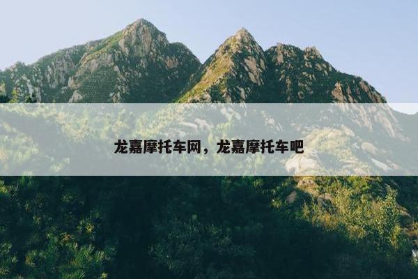 龙嘉摩托车网，龙嘉摩托车吧