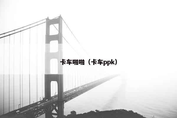 卡车啪啪（卡车ppk）