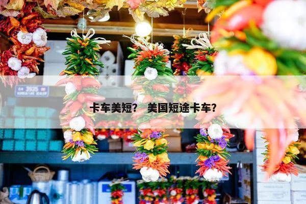 卡车美短？ 美国短途卡车？