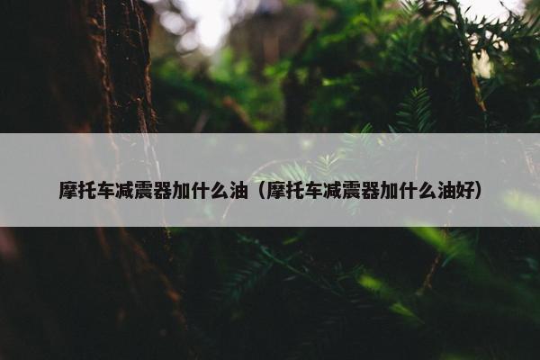 摩托车减震器加什么油（摩托车减震器加什么油好）