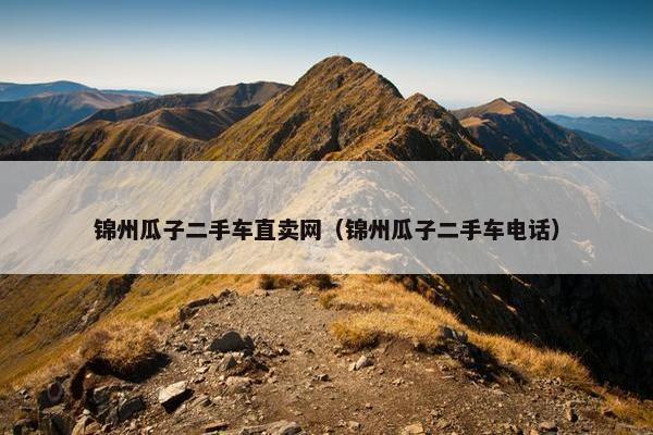 锦州瓜子二手车直卖网（锦州瓜子二手车电话）