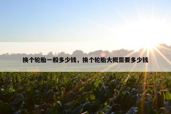 换个轮胎一般多少钱，换个轮胎大概需要多少钱