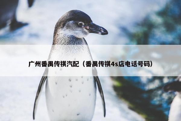 广州番禺传祺汽配（番禺传祺4s店电话号码）