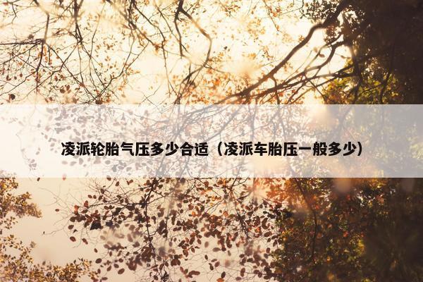 凌派轮胎气压多少合适（凌派车胎压一般多少）