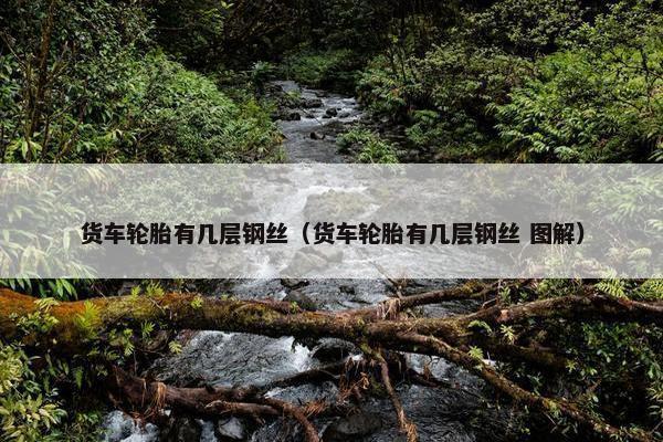 货车轮胎有几层钢丝（货车轮胎有几层钢丝 图解）