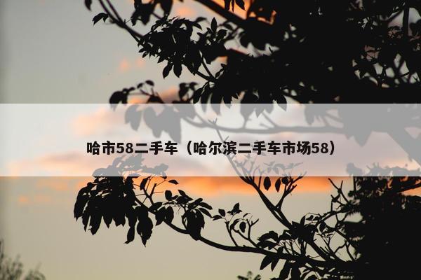 哈市58二手车（哈尔滨二手车市场58）