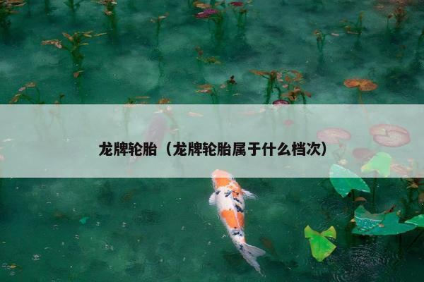 龙牌轮胎（龙牌轮胎属于什么档次）