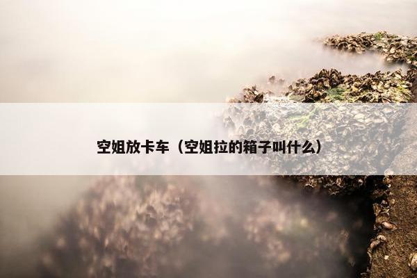 空姐放卡车（空姐拉的箱子叫什么）