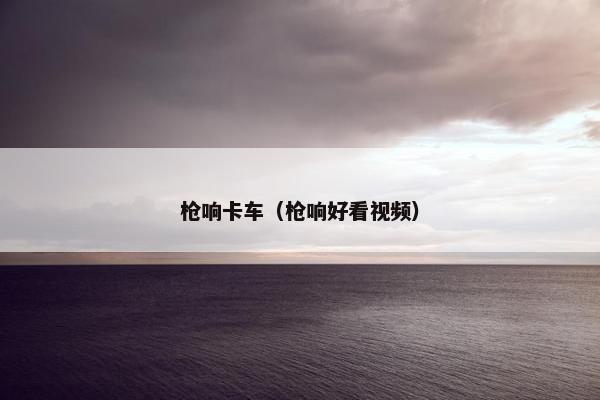 枪响卡车（枪响好看视频）