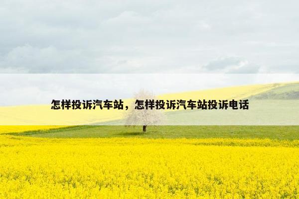 怎样投诉汽车站，怎样投诉汽车站投诉电话