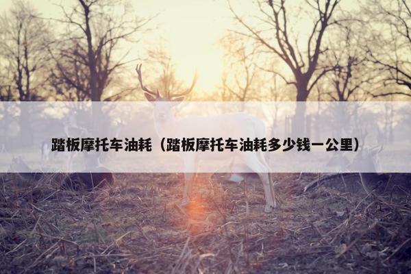 踏板摩托车油耗（踏板摩托车油耗多少钱一公里）