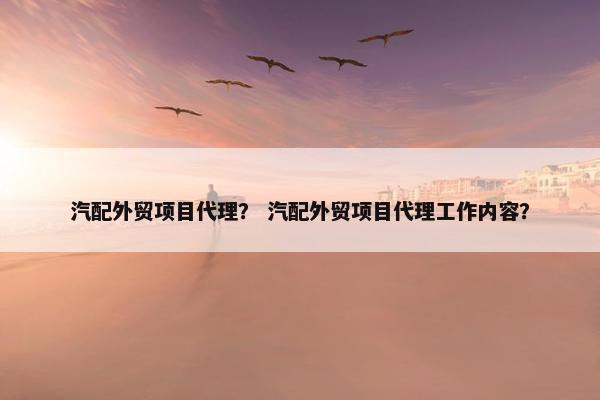 汽配外贸项目代理？ 汽配外贸项目代理工作内容？
