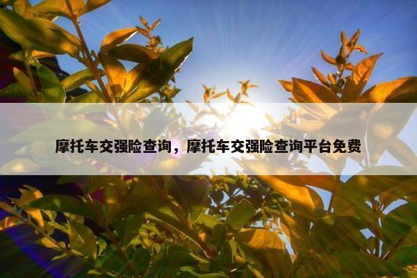 摩托车交强险查询，摩托车交强险查询平台免费