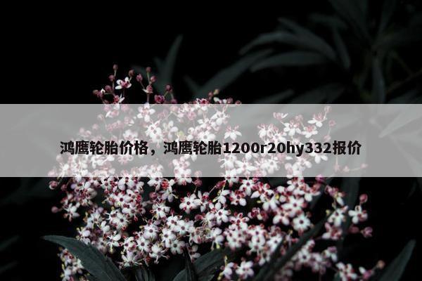鸿鹰轮胎价格，鸿鹰轮胎1200r20hy332报价