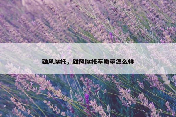雄风摩托，雄风摩托车质量怎么样