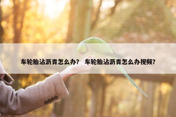 车轮胎沾沥青怎么办？ 车轮胎沾沥青怎么办视频？