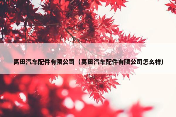 高田汽车配件有限公司（高田汽车配件有限公司怎么样）