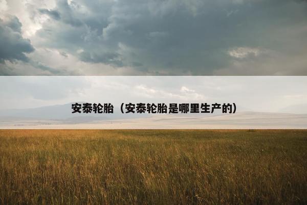 安泰轮胎（安泰轮胎是哪里生产的）