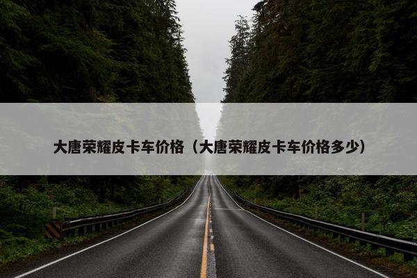 大唐荣耀皮卡车价格（大唐荣耀皮卡车价格多少）