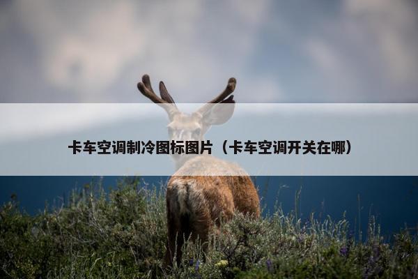 卡车空调制冷图标图片（卡车空调开关在哪）