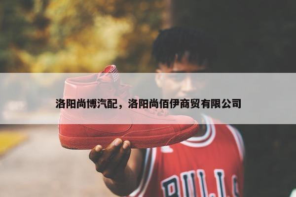 洛阳尚博汽配，洛阳尚佰伊商贸有限公司